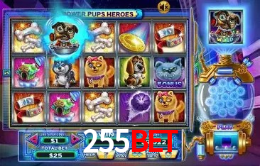 255bet plataforma